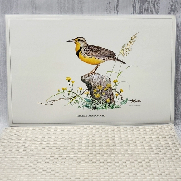 Ned Smith 6Pc Placemats SongBird Series - Picture 6 of 14